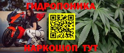 spice Нальчик