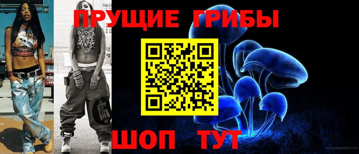 Галлюциногенные грибы Cubensis Тихорецк