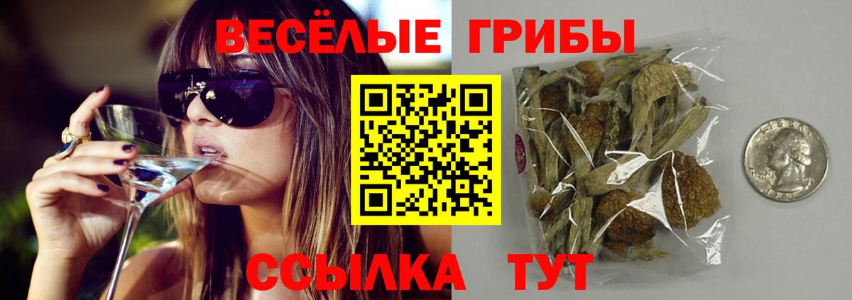 Псилоцибиновые грибы Psilocybine cubensis  продажа наркотиков  Тихорецк  Вход с VPN 